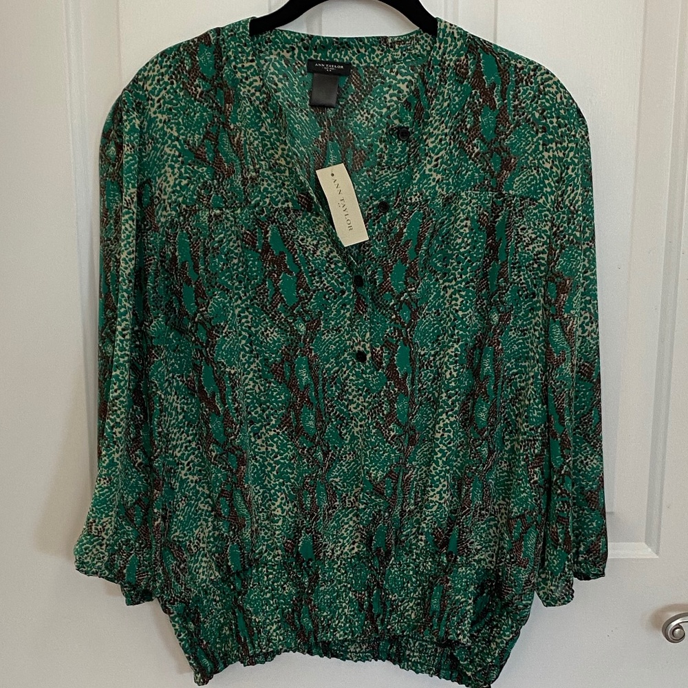 Ann Taylor Sheer Top